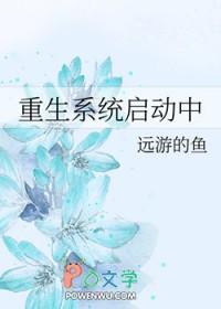 重生系统启动中txt