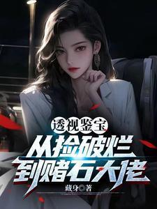 透视鉴宝从捡破烂到赌石大佬