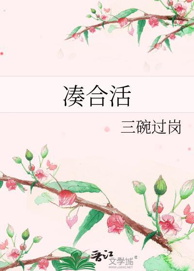凑合活by三碗过岗讲什么