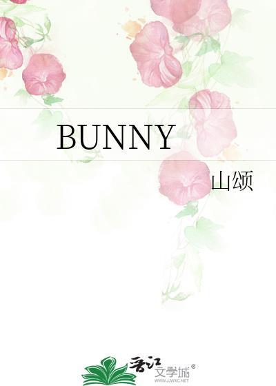 bunnycop教程