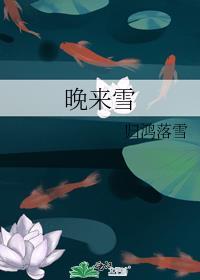 晚来雪百度TXT