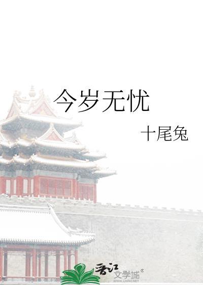 今岁无忧无防盗