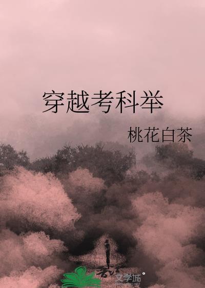 穿越考科举王辰
