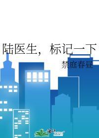 陆医生gl