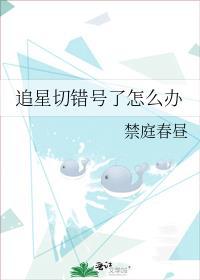追星有错嘛