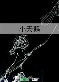 小天鹅洗衣机服务电话24小时官网
