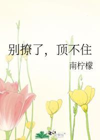顶不住全文免费阅读