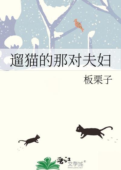 遛狗遛猫不一样