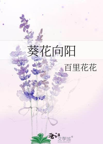 葵花向阳开下一句