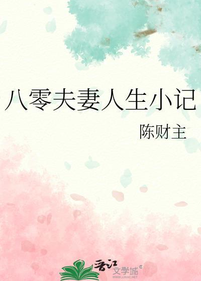 八零夫妻人生小记TXT电子书