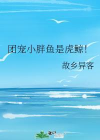 团宠小胖鱼是虎鲸!百度