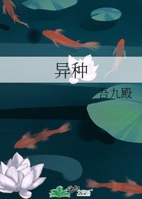 异种族娘风评鉴定指南全集