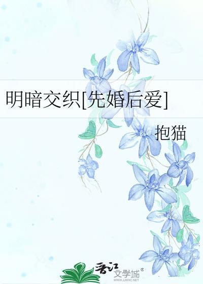 明暗交加什么意思