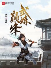 武炼巅峰境界