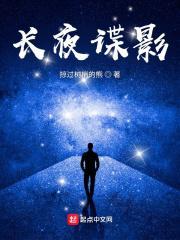 长夜谍影精校版TXT