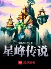 星峰传说第二部