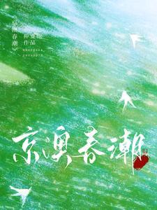 京澳春潮免费阅读txt