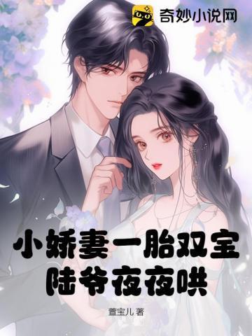 陆爷娇宠小宝贝