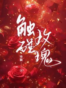 触碰玫瑰TXT免费