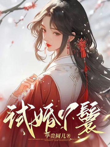 试婚丫鬟免费阅读