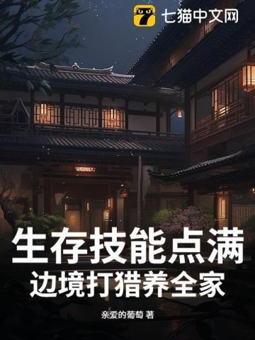 边境猎犬图片