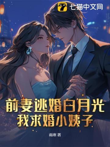 前妻求再嫁免费阅读