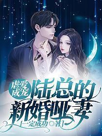 虐爱成宠陆总的新婚哑妻