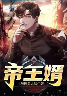帝王婿叶辰