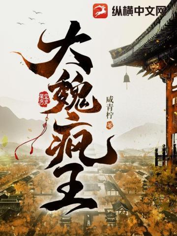 大魏疯王许衡免费阅读