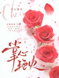 掌心艳火演员表