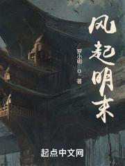 风起明末大结局