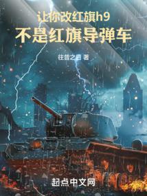 200万改装红旗h9