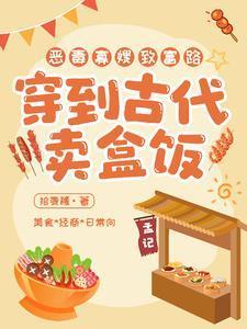 从摆摊卖盒饭开始暴富完结