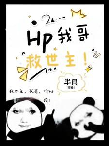 hp之救世主哥哥不好当
