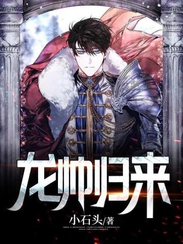 龙帅归来免费阅读
