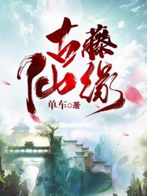 古藤仙缘完结版