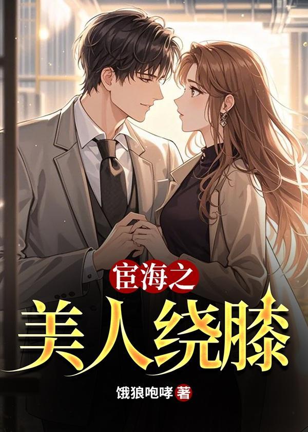 宦海之作什么意思