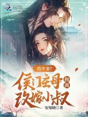 抬平妻?侯门主母和离改嫁小叔txt 百度