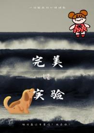 完美产品实验视频