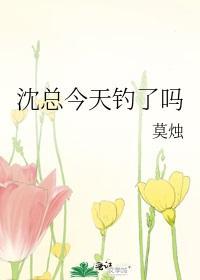 沈总今天钓了吗txt