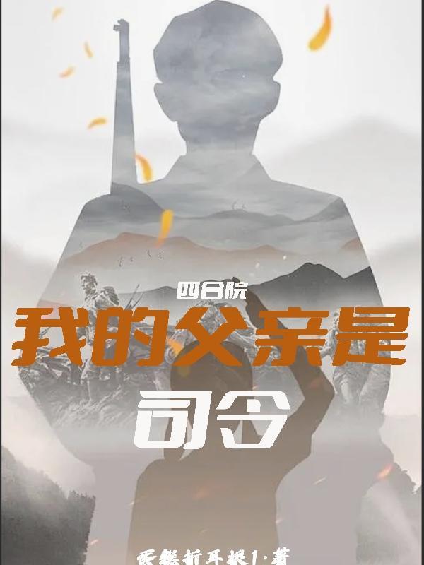 四合院我的父亲是司令txt