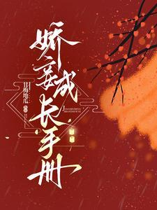 娇妾成嫡妻格格党