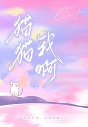 猫猫我啊想给每只小流浪一个家
