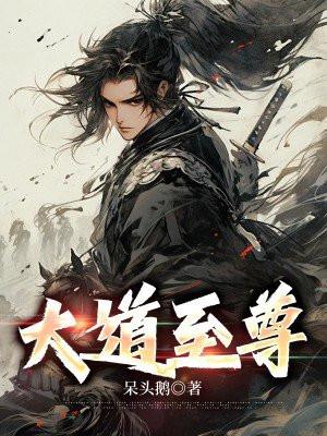 至尊大道帝皇系统