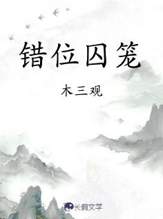 错位囚笼by木三观txt
