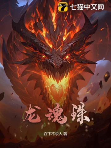 龙珠超在线观看免费完整版