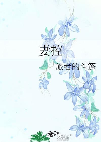 妻控讲的是什么