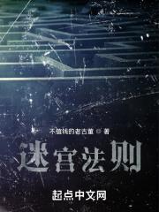 迷宫法则射击游戏i