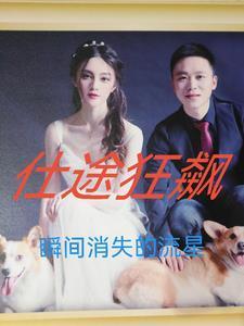 仕途狂飙全文免费阅读